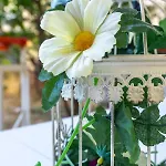 Mema's Tranquil In Lejlighed