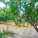 Mema's Tranquil In Lejlighed
