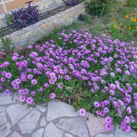 Apartamento Mema's Tranquil In