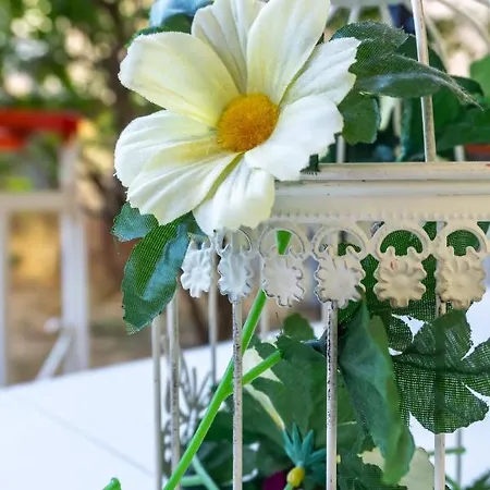 Mema's Tranquil In Appartement