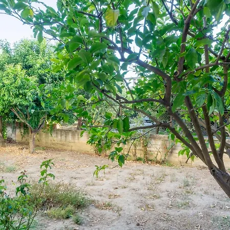 Mema's Tranquil In Apartment