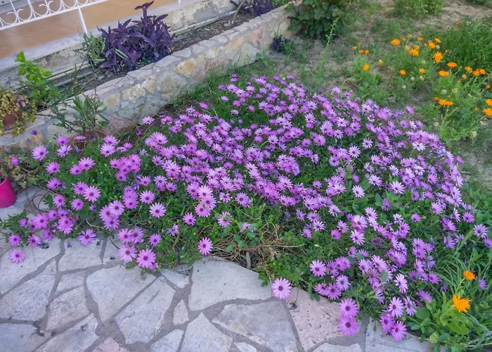 Apartamento Mema's Tranquil In